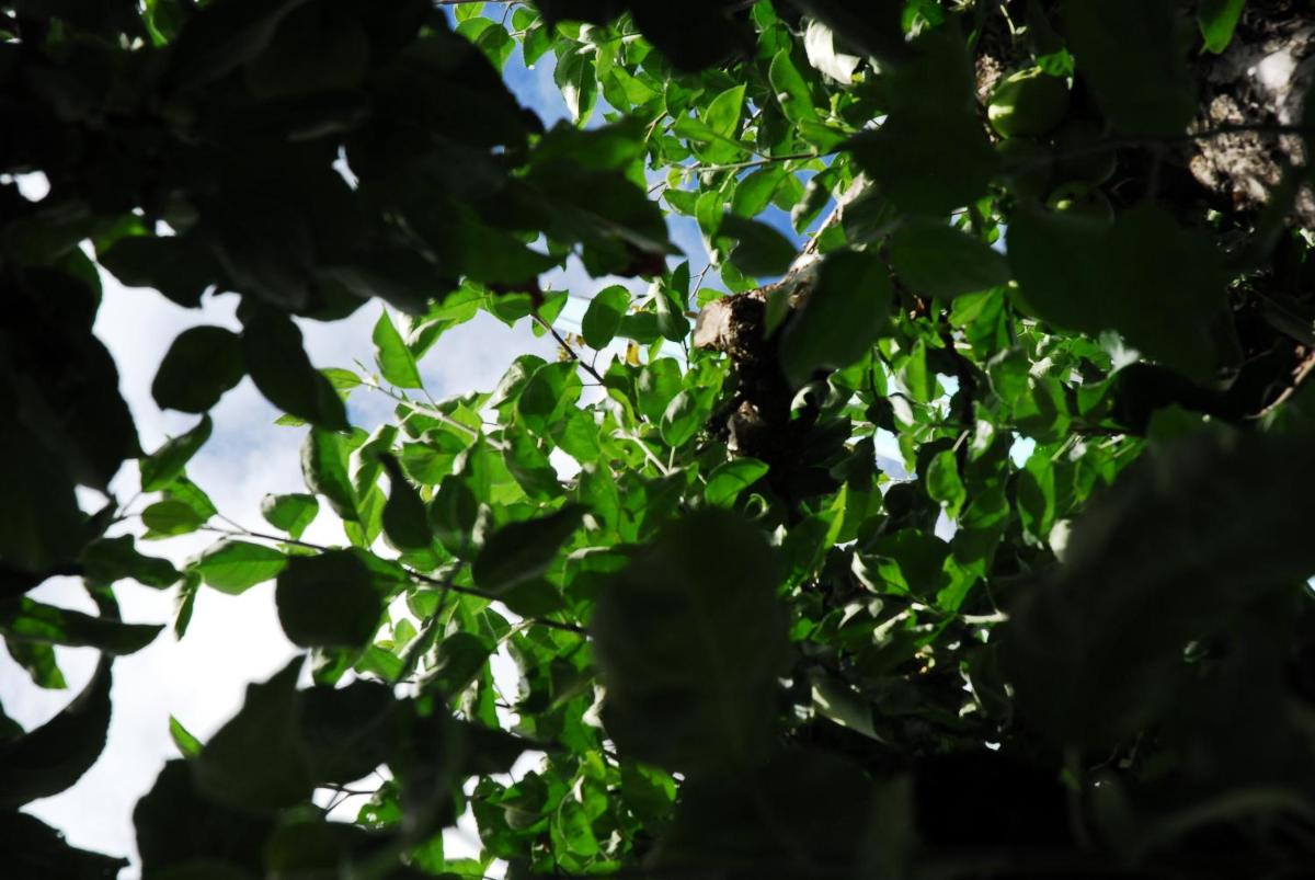 Apartment Montabaur Heiligenroth - Housity