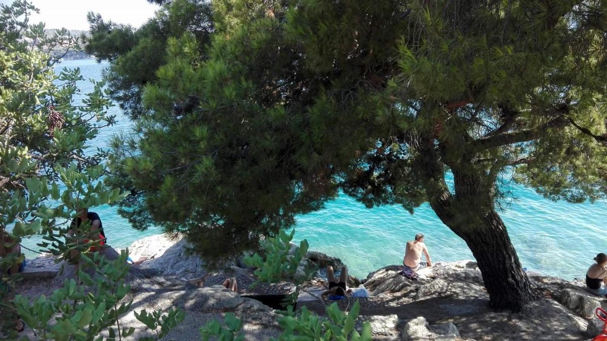 Fresh Apartments Dar Orlic - Housity