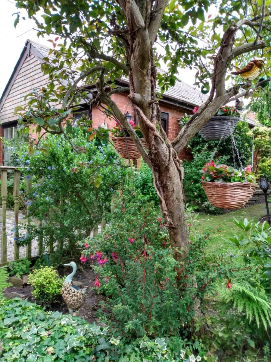 Hollingworth Lake Guest House Room Only Accommodation - Housity