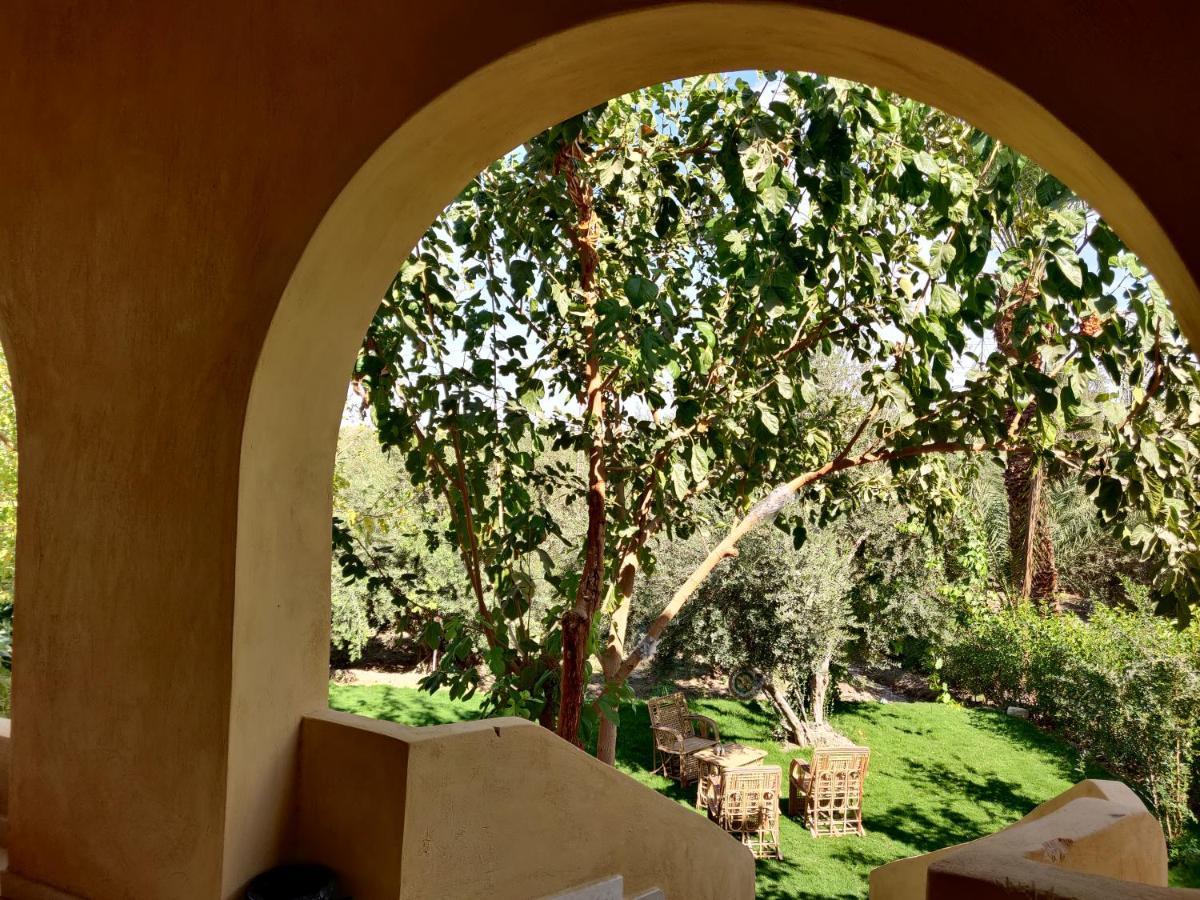 Haneen Field View - Housity