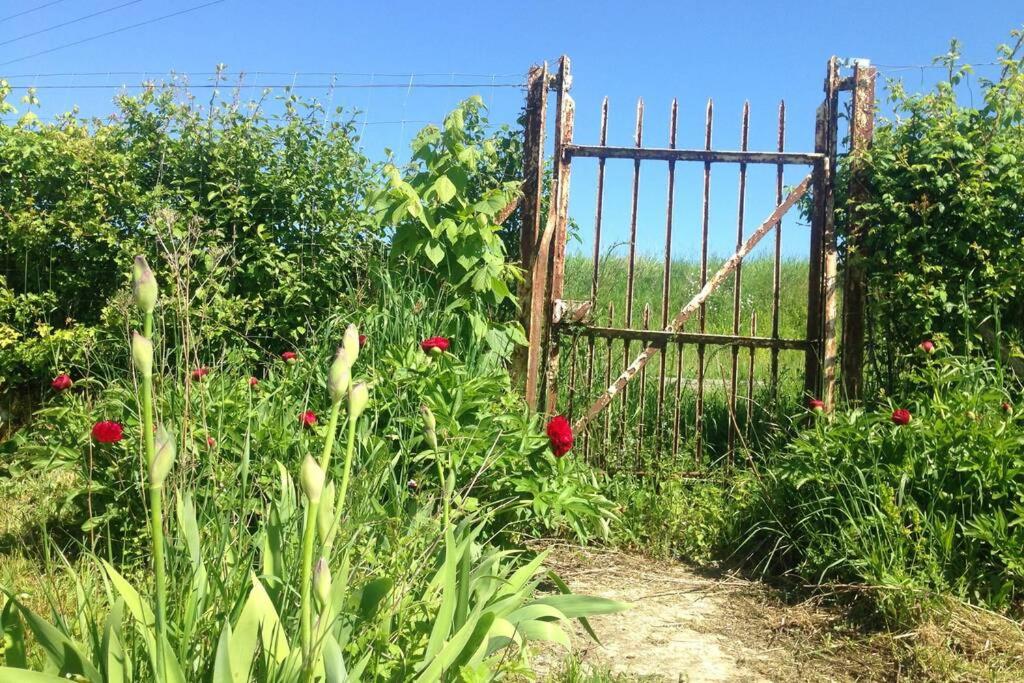 Ferme de Wichery, Gite 2-6 pers. - Housity