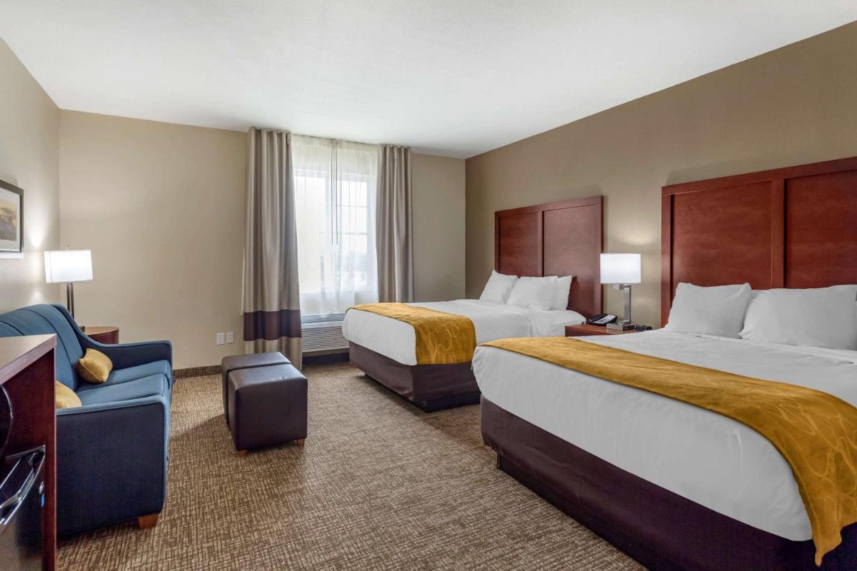 Comfort Suites Clarksville near Governors Square Mall - Housity