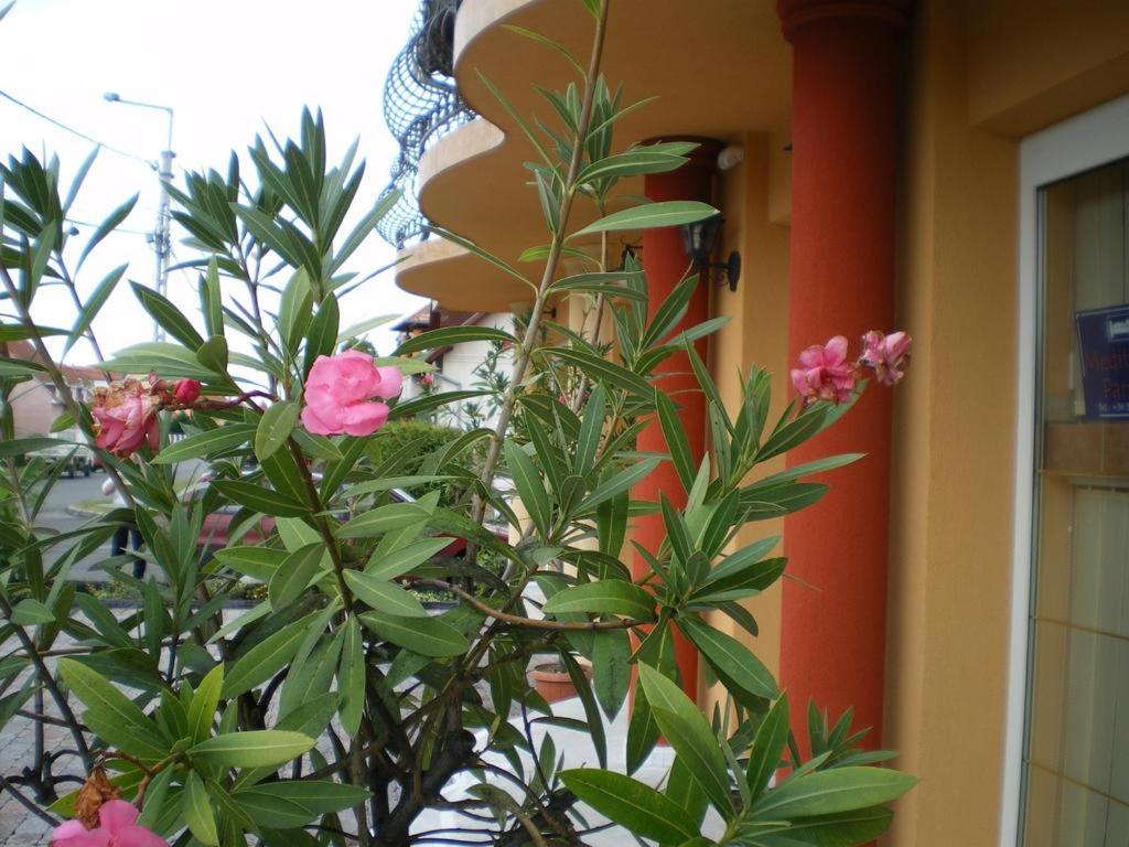 Mediterrán-Apartmanok-Harkány - Housity