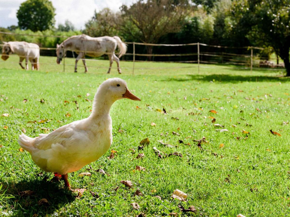Gite Ferme d'Ervée de Saint-Roch - Housity
