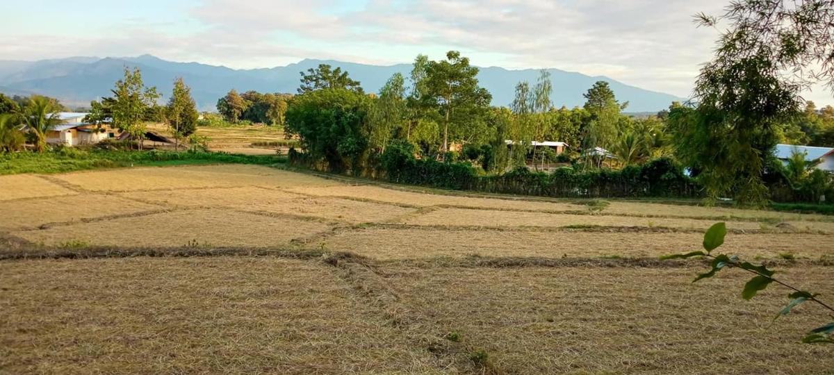 Koom Nadee Pua - Housity
