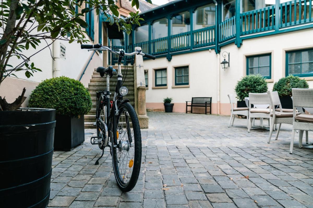 Radfahren an der Unterkunft Deidesheimer Hof oder in der Nähe
