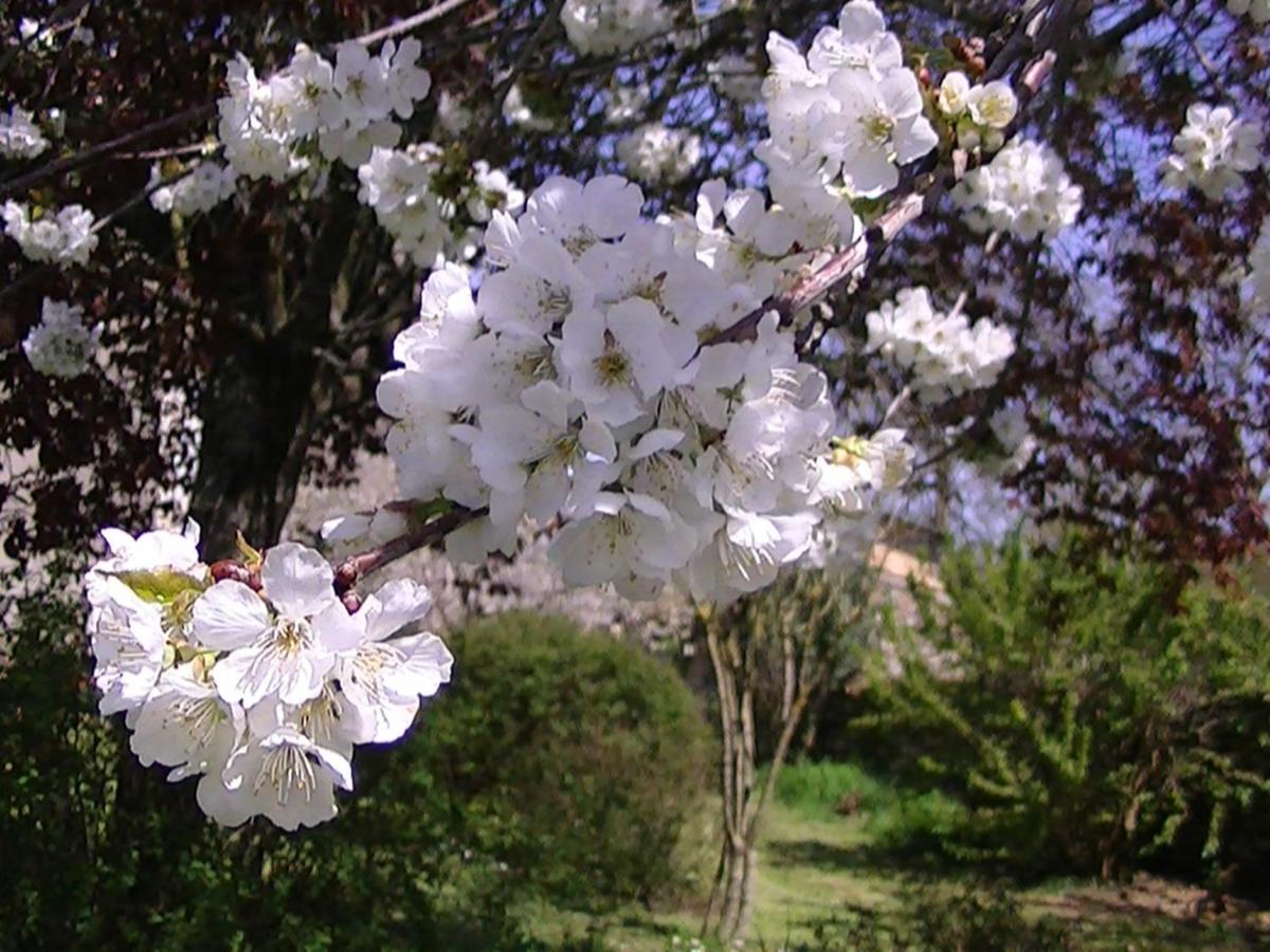 Domaine de l'Estuaire - Housity