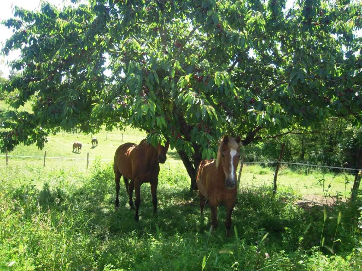 Domaine de l'Estuaire - Housity