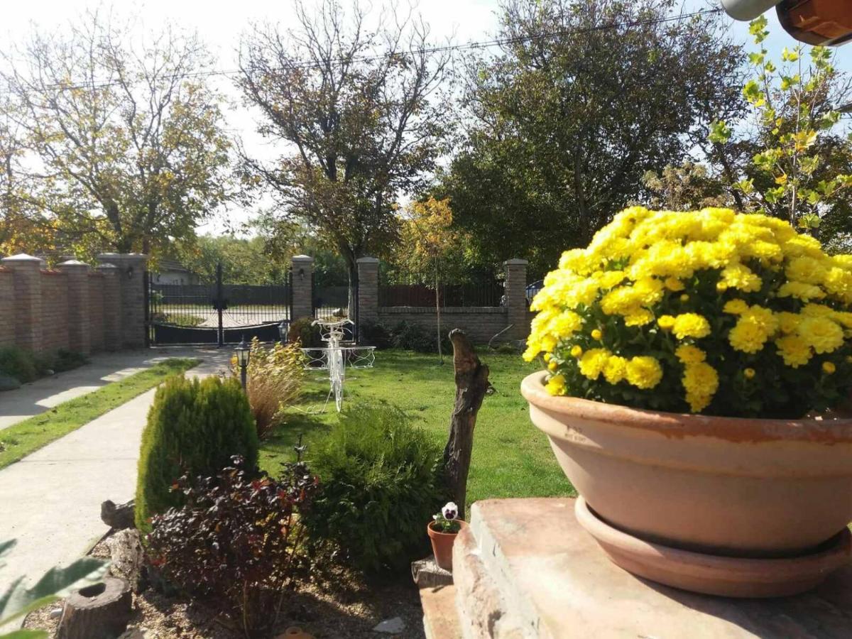 Rita Apartman & Studio - Housity