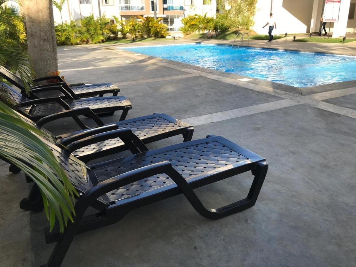 Luxury real palm - Housity