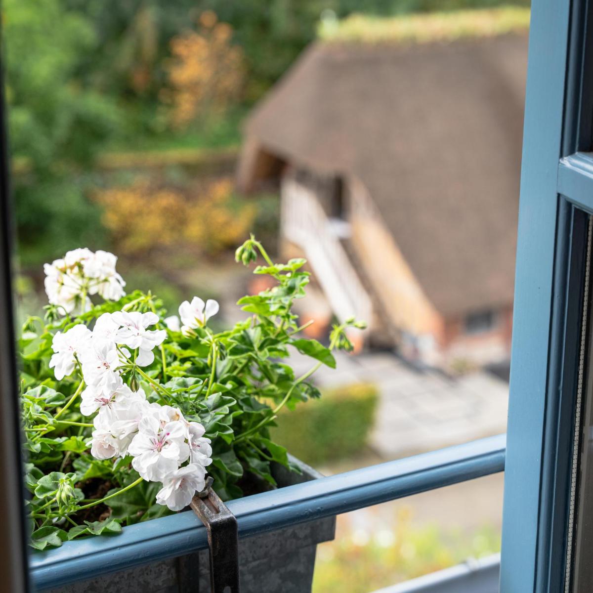 Jardin de l'établissement La Ferme Saint Simeon Hotel & Spa - Relais & Chateaux
