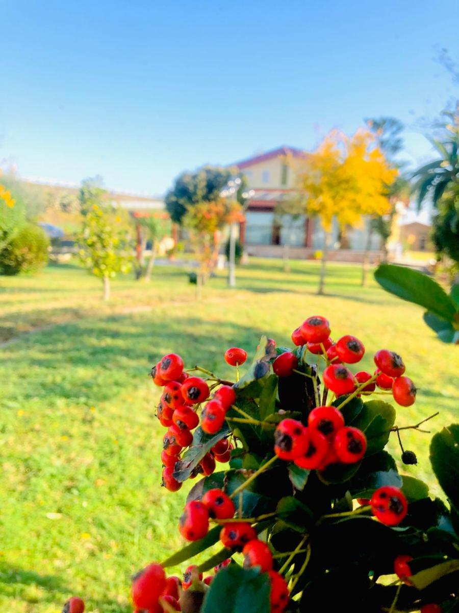 Suitetrails - Hotel La Primula