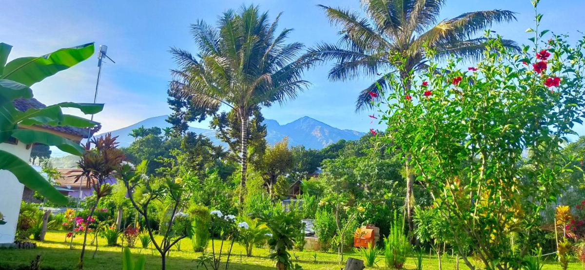 Bale Sebaya Bungalows - Housity