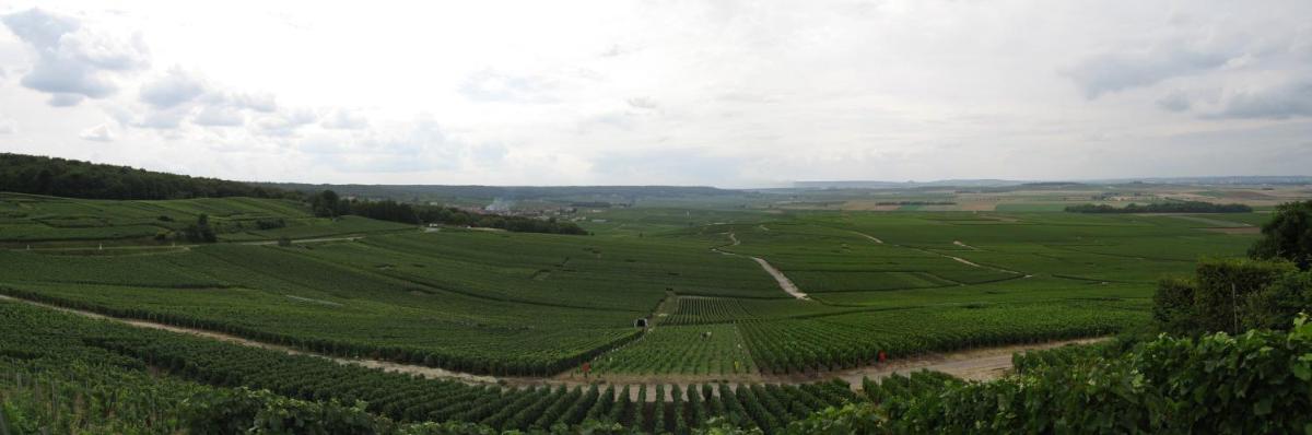 Domaine des Grattières - Housity