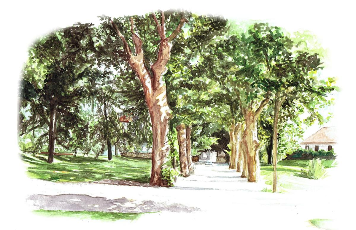 Jardin de l'établissement Château Brachet