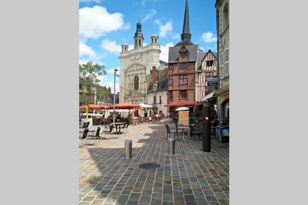 appart centre ville bords de loire - Housity
