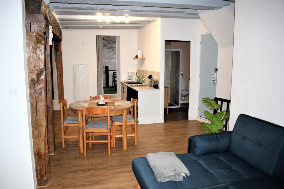 Gite Le Nid des Zoo Zio, 5mn Beauval, appartement terrasse centre-ville - Housity