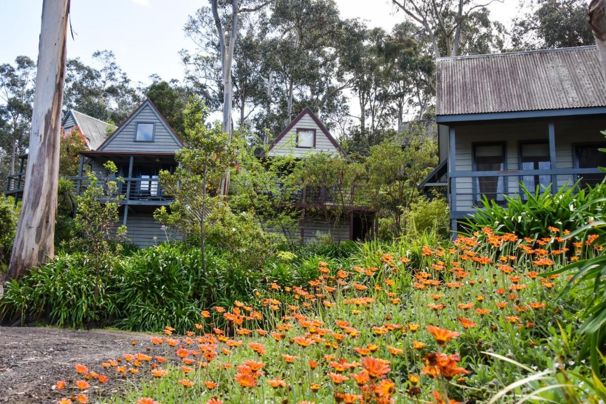 Great Ocean Road Cottages - Housity