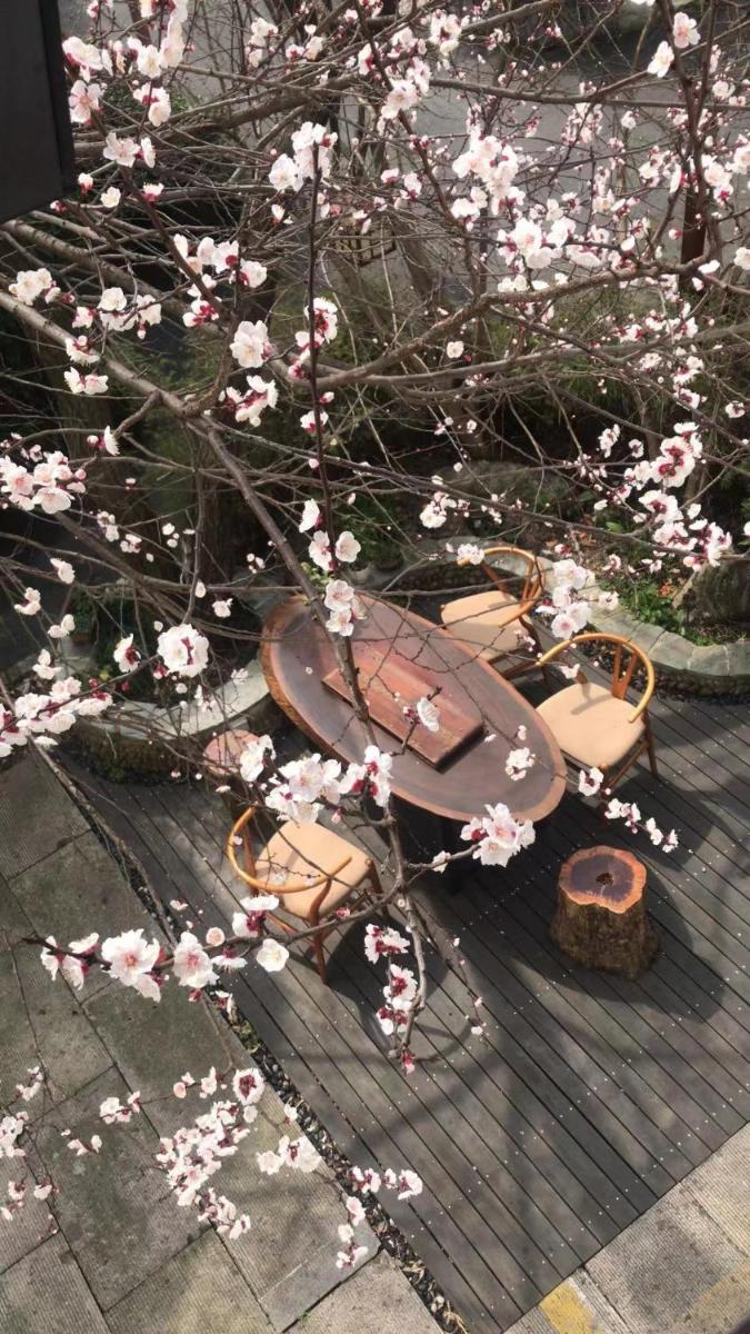 Hangzhou West Lake Lake YI Tong Intelligent Homestay - Housity