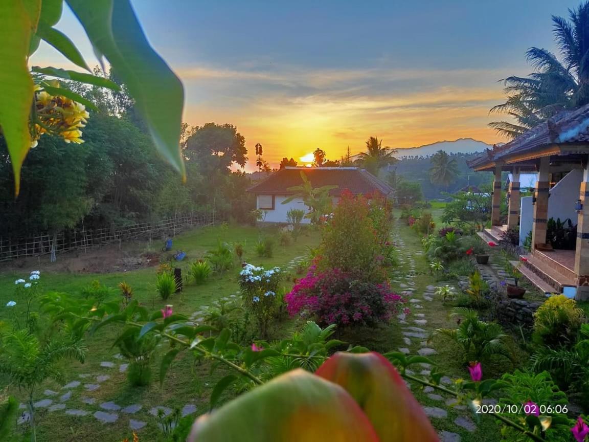 Bale Sebaya Bungalows - Housity