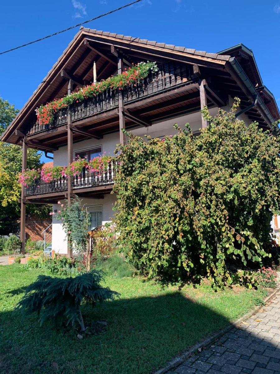 Gästehaus zum Rhein - Housity