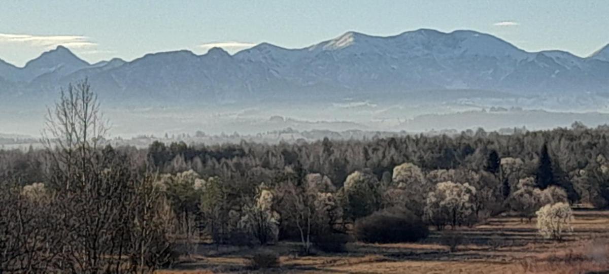 Agroturystyka Pokoje u Zosi - Housity