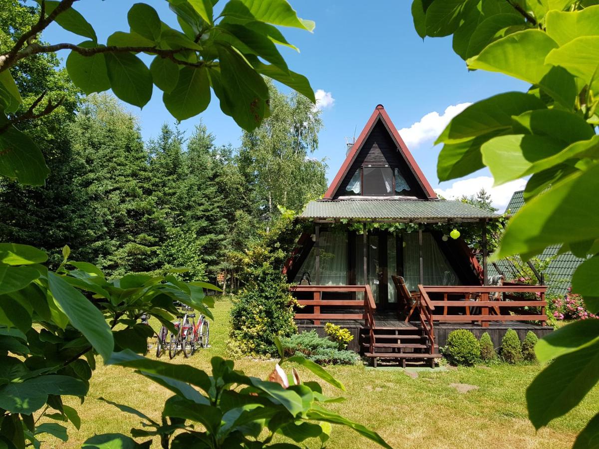 Domek Letniskowy Dario - Housity