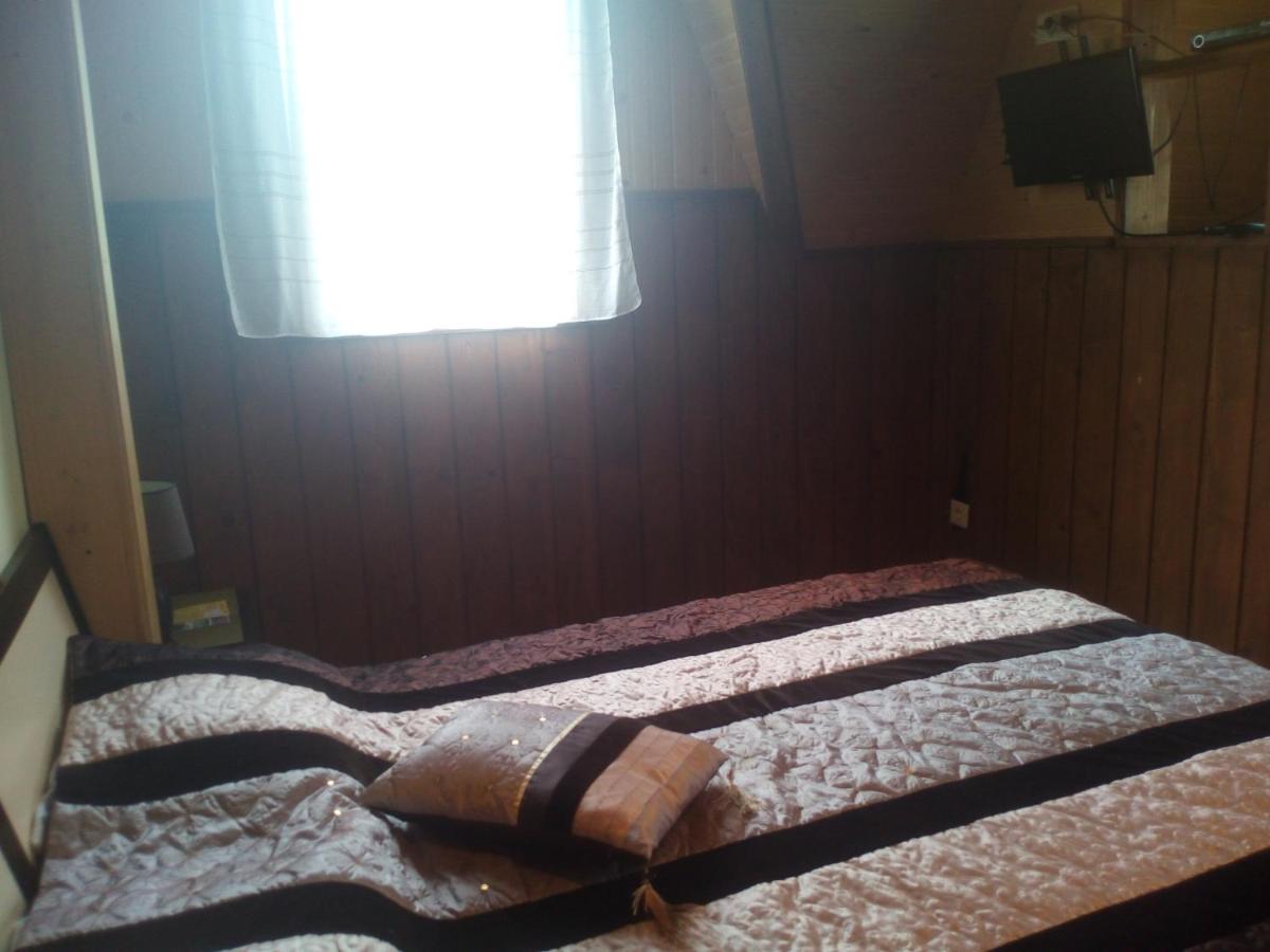 Аппартаменты в Карпатах Лостун - Housity