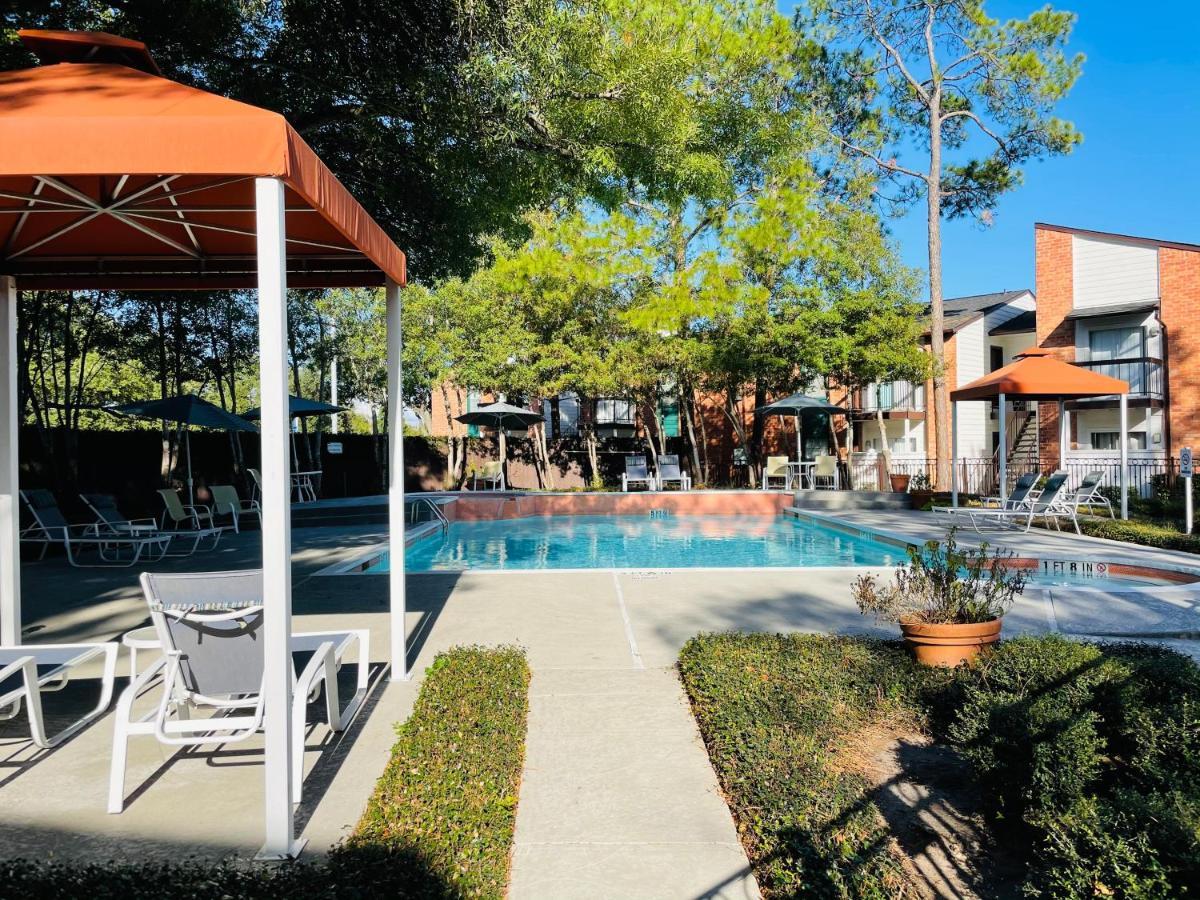 Serene Apartment, Close to Medical Center, MD Anderson - Housity