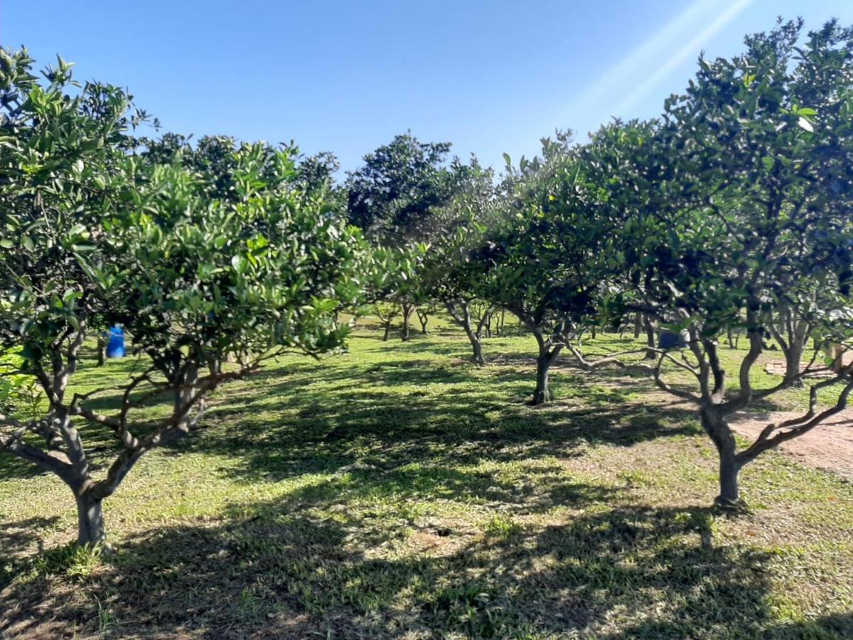 CASA DI PECORA - POUSADA RURAL - Housity