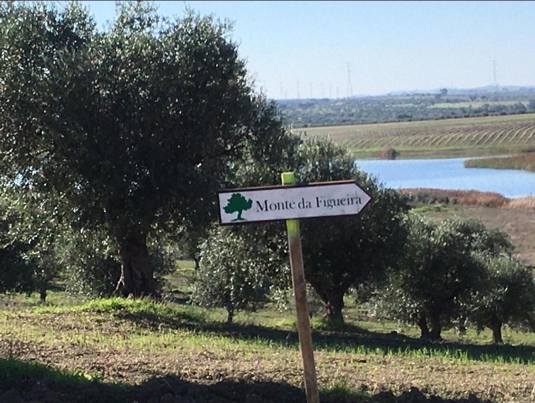 Monte da Figueira - Housity