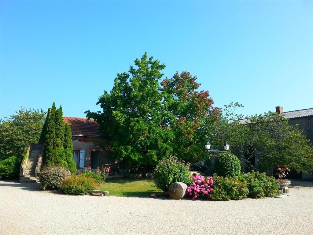 Château de la Galissonnière - Housity