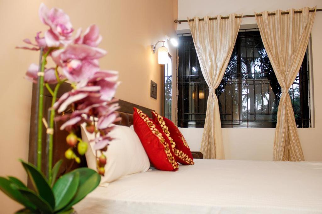 Carolina Guesthouse - Housity