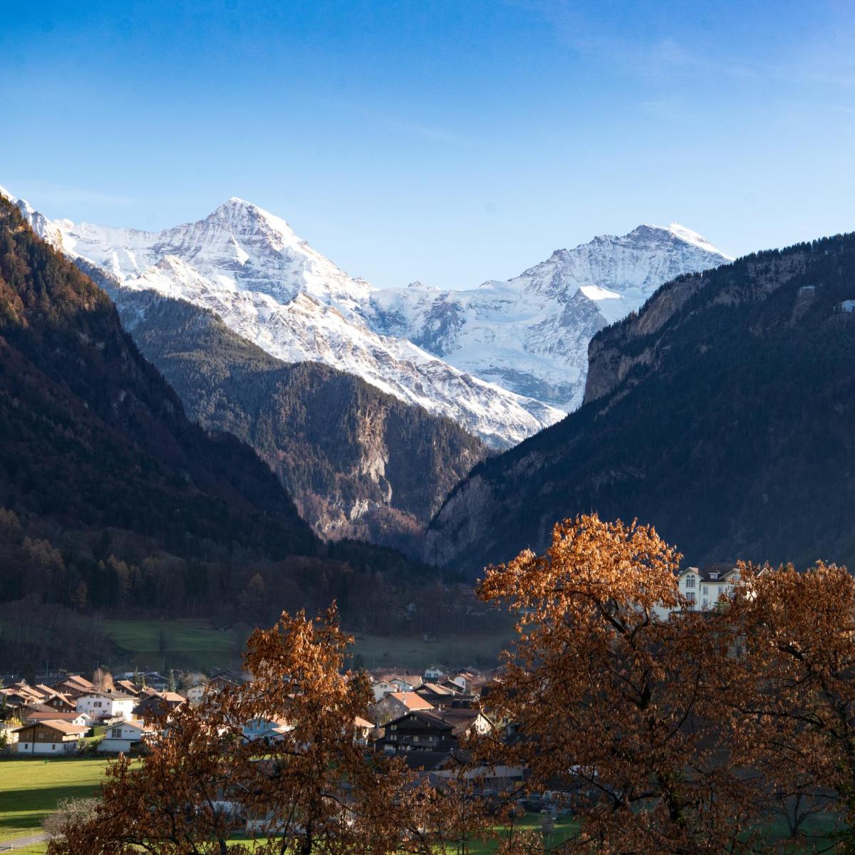 Swiss Holiday House - Housity