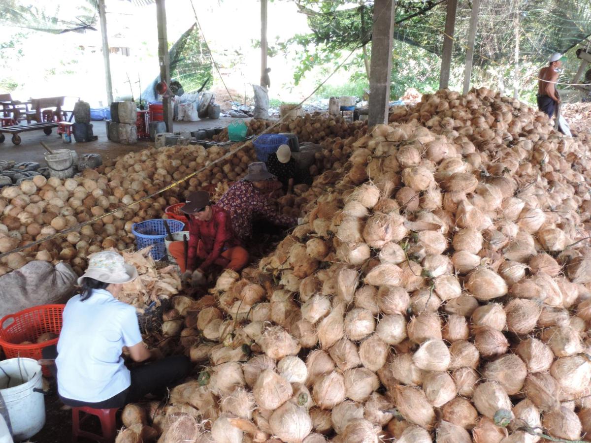 Ben Tre Farm Stay - Housity