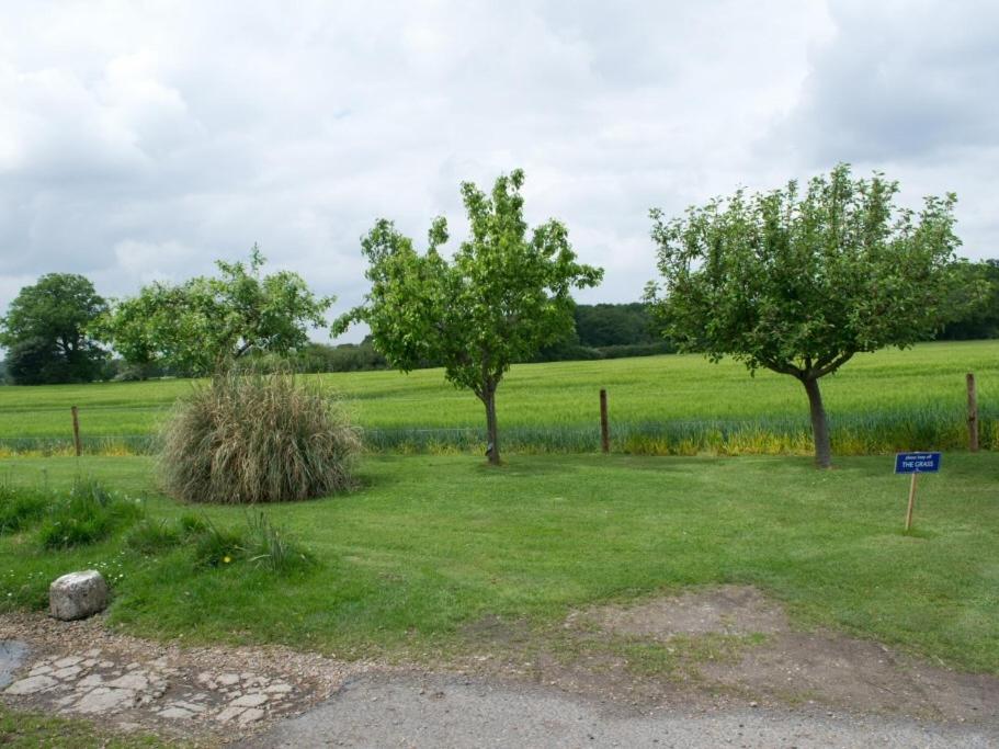 Woodview B&B Colchester - Housity