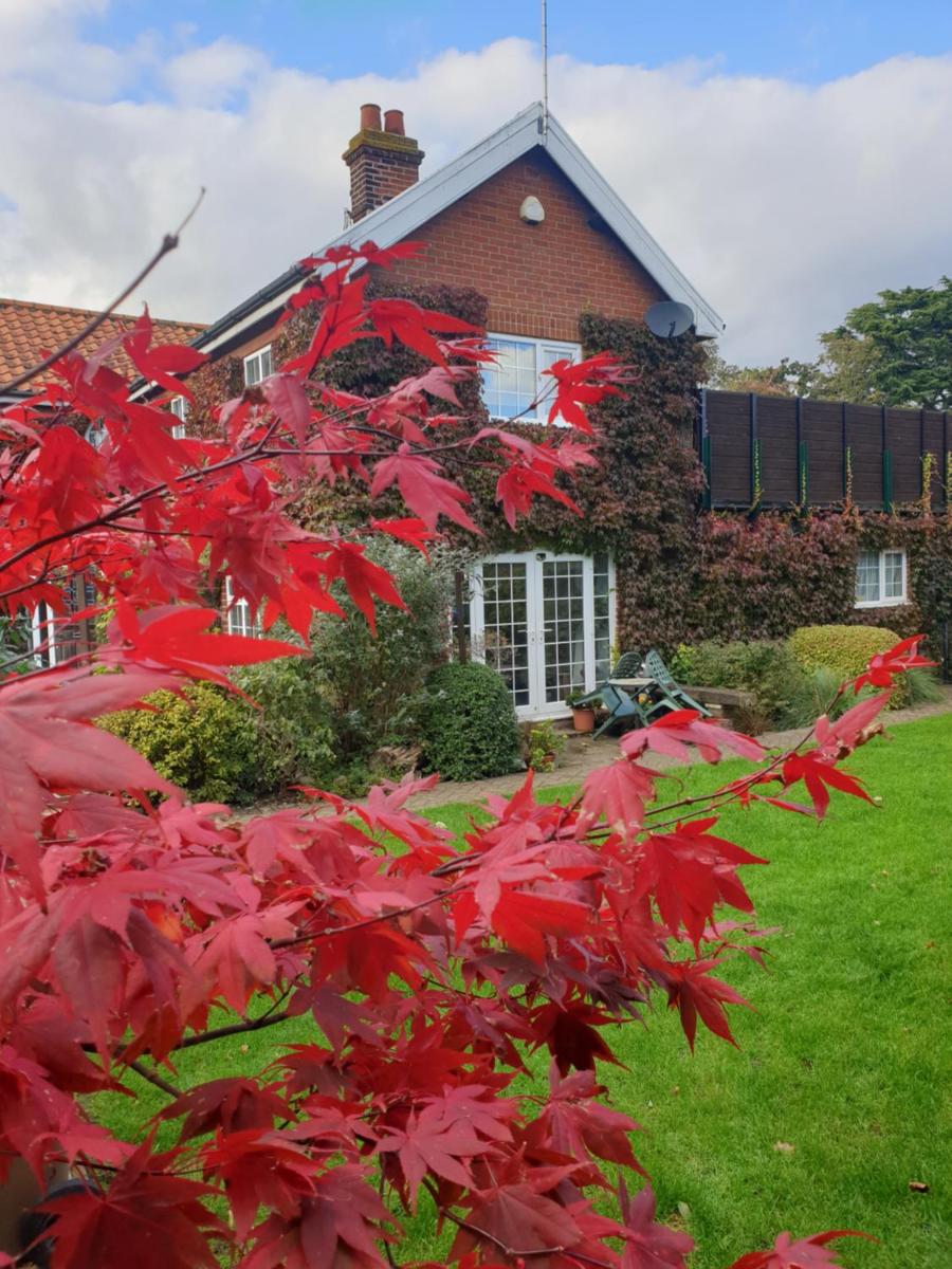 The Summer Room - Housity