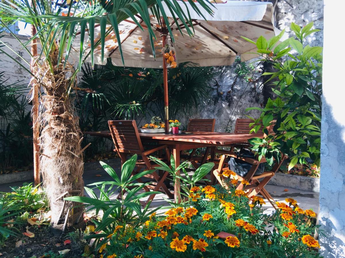 Suitetrails - Palmera