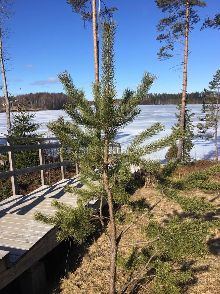 VITA Ruokolahti 1-2 - Housity