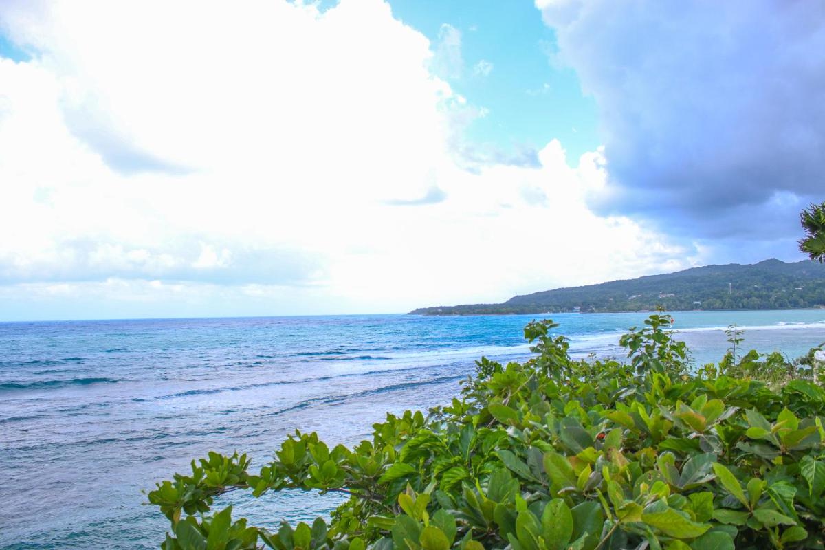 Rica Vista Beach Cottages - Housity