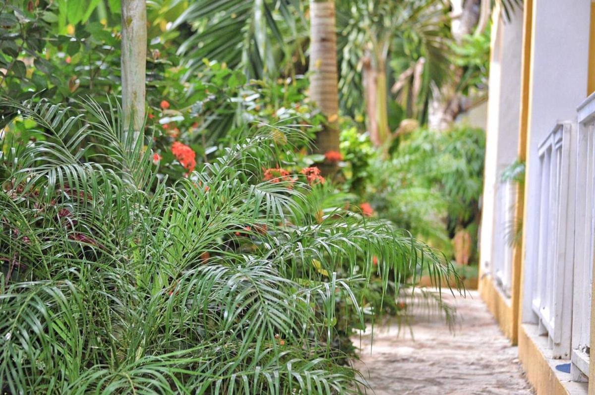De luz Hotel - Housity