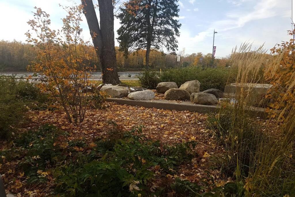 Cozy 1-BDR Suite #20 by Amazing Property Rentals - Housity