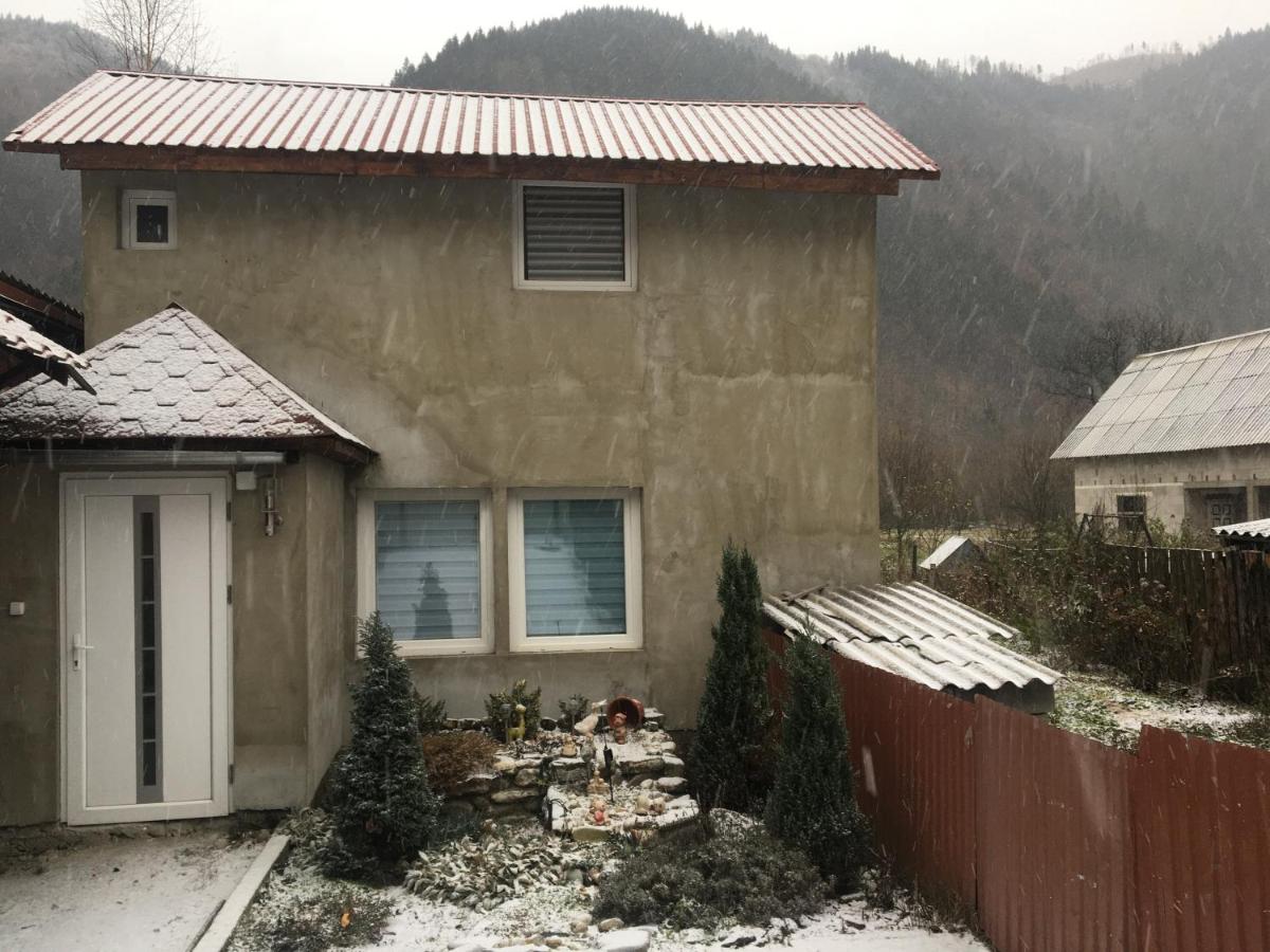 Guest House VIP ALEX - Housity
