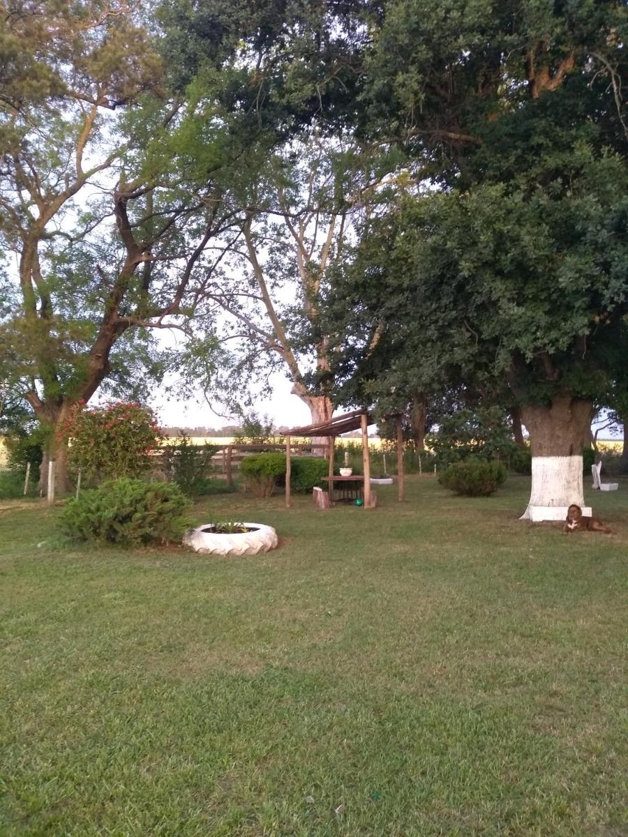 El Viejo Roble - Housity