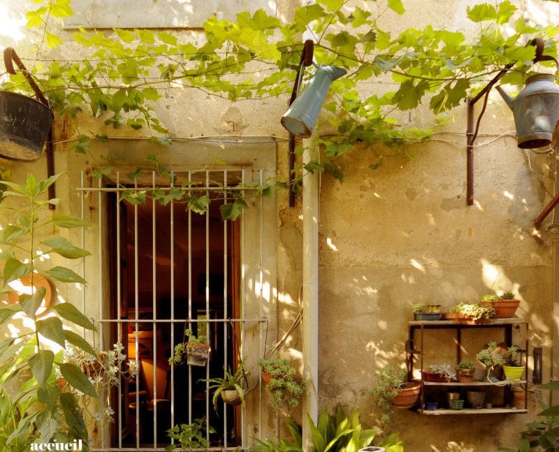 La Vigne Bleue - Housity