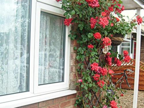 Suitetrails - Rosa's Bed and Breakfast