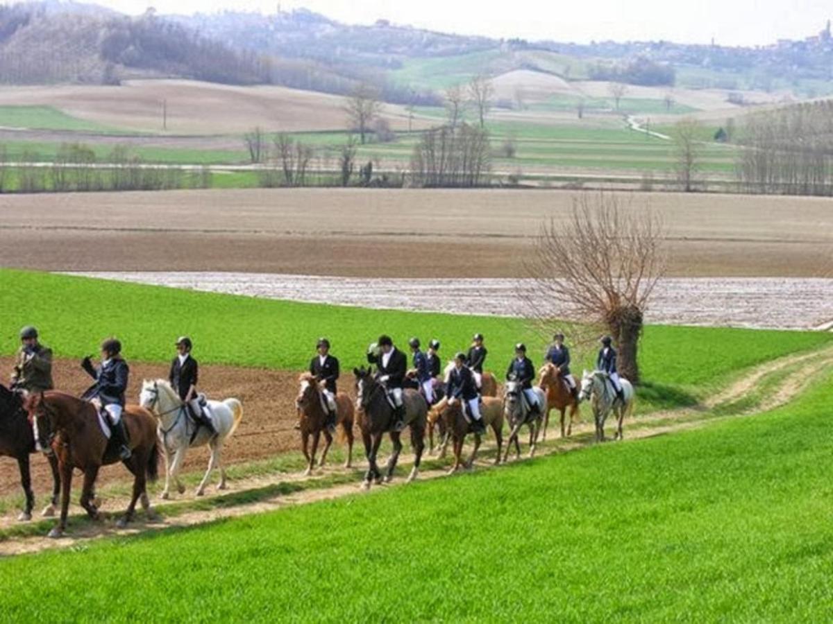 Alloggio Vacanze Monferrato Le Ginestre - Housity