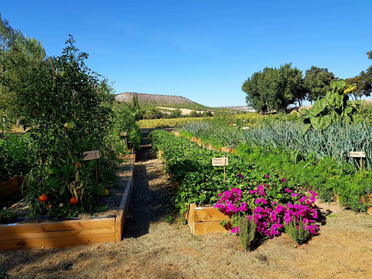 Jardín al aire libre en Abadia Retuerta LeDomaine