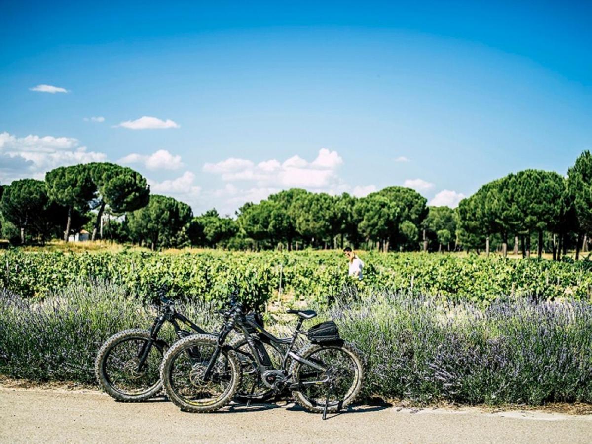 Montar en bicicleta en Abadia Retuerta LeDomaine o alrededores