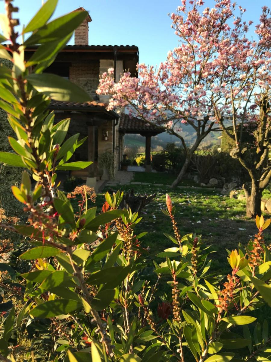 Vitori's House Tourist Accommodation - Housity